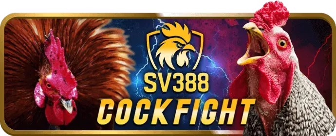 Sự kiện đặc biệt và quà tặng mmwin login